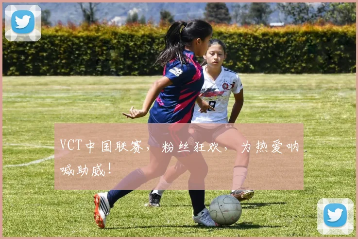 VCT中国联赛，粉丝狂欢，为热爱呐喊助威！
