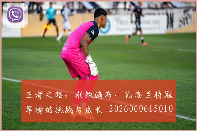 王者之路，荆棘遍布，瓦洛兰特冠军榜的挑战与成长_20260606150101