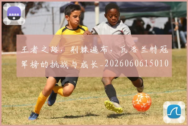 王者之路,荆棘遍布,瓦洛兰特冠军榜的挑战与成长_20260606150101