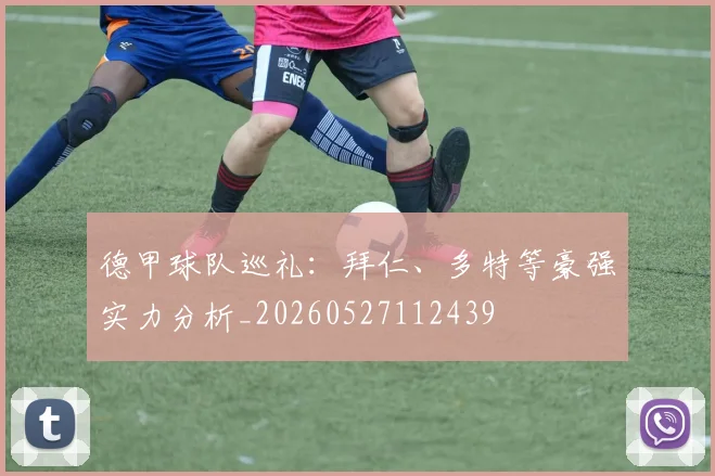 德甲球队巡礼：拜仁、多特等豪强实力分析_20260527112439